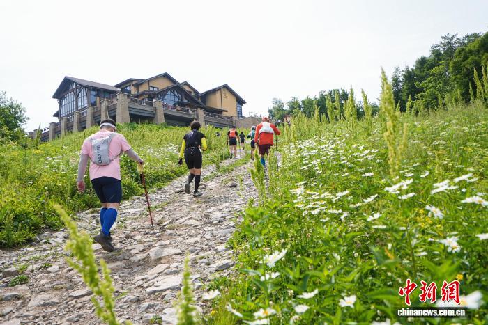 深度解析：如何利用AI工具优化体育赛事分析 - mk体育shengjun